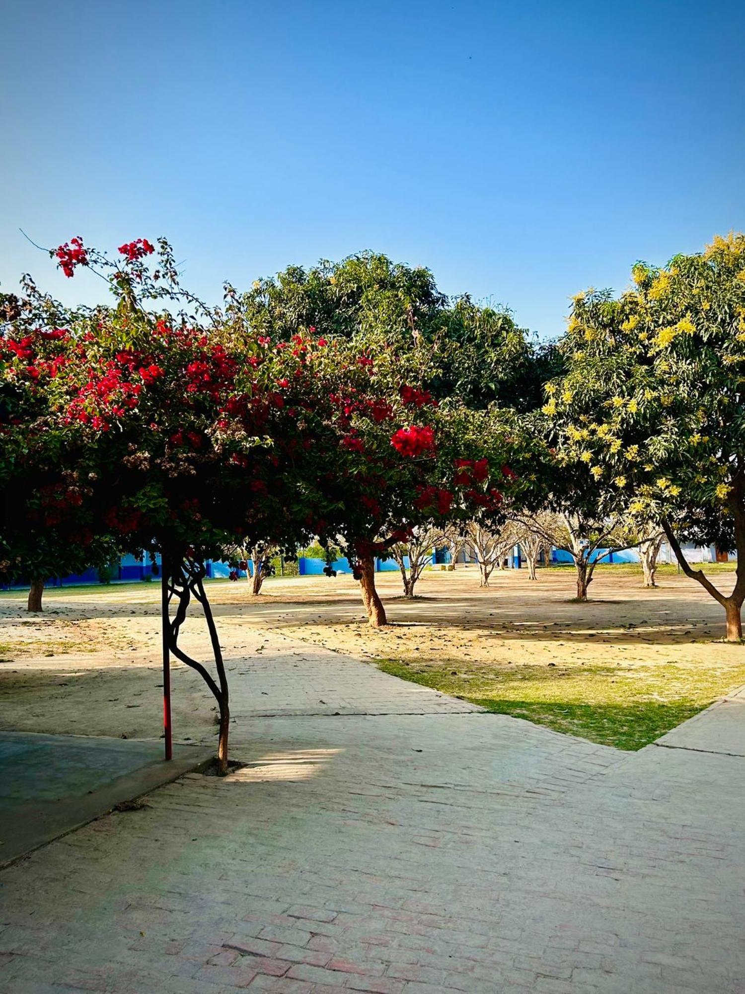 Вілла Gooseberry Garden Ayodhya Екстер'єр фото