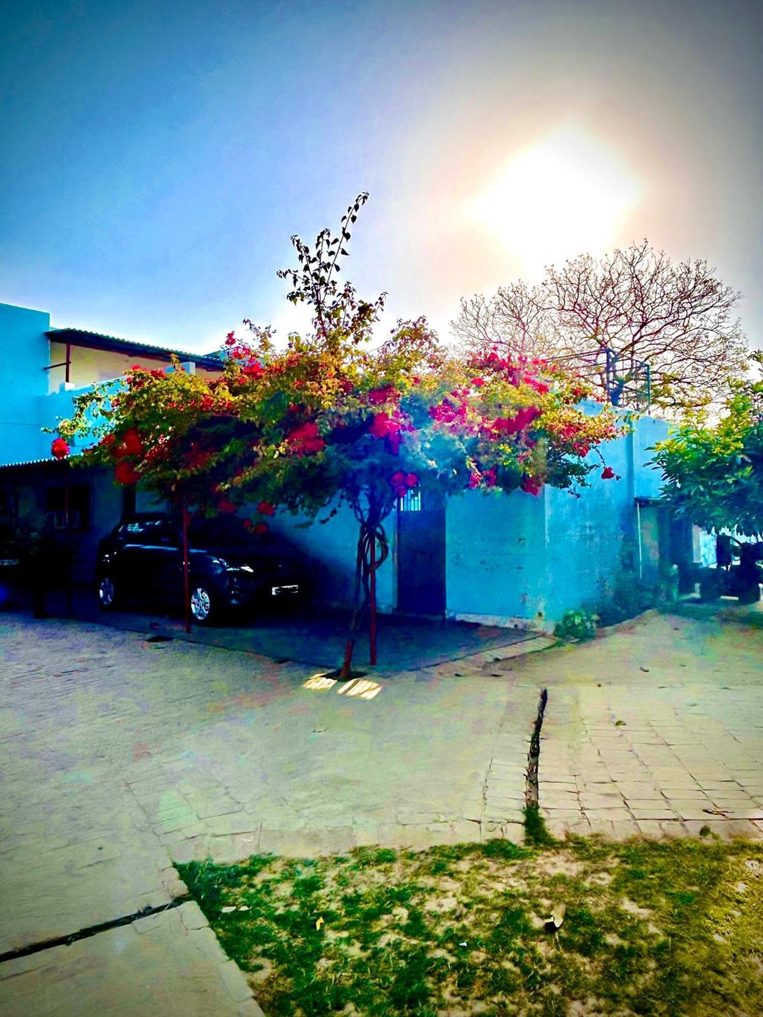 Вілла Gooseberry Garden Ayodhya Екстер'єр фото