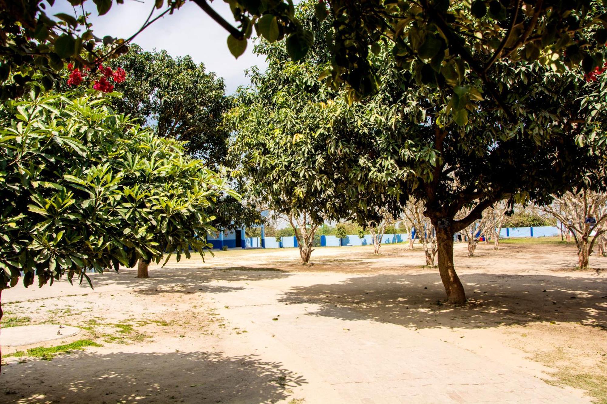 Вілла Gooseberry Garden Ayodhya Екстер'єр фото